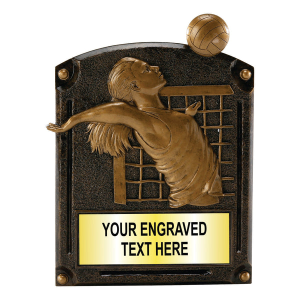 Volleyball Legends of Fame Award - Female